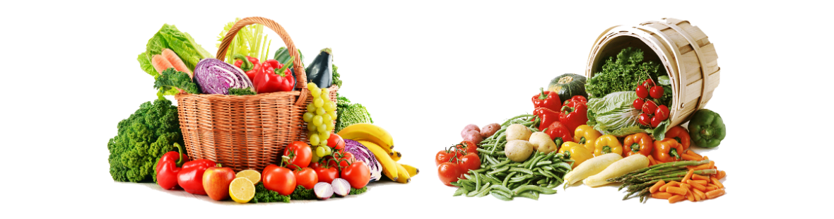 fruits-et-legumes-bio-le-carre-biologique-janze