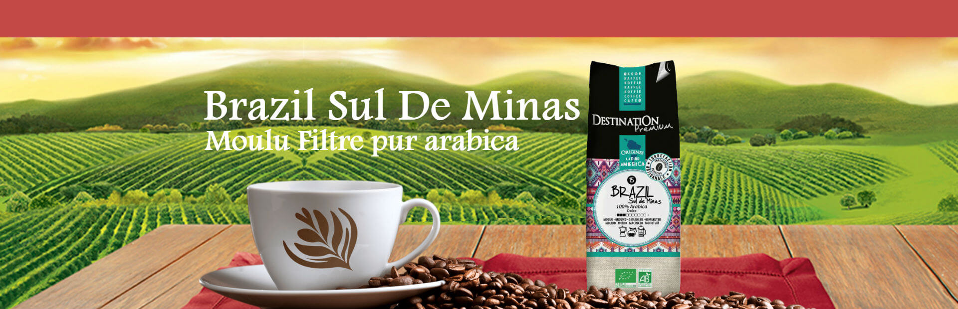 cafe-brazil-sul-de-minas-destination-005