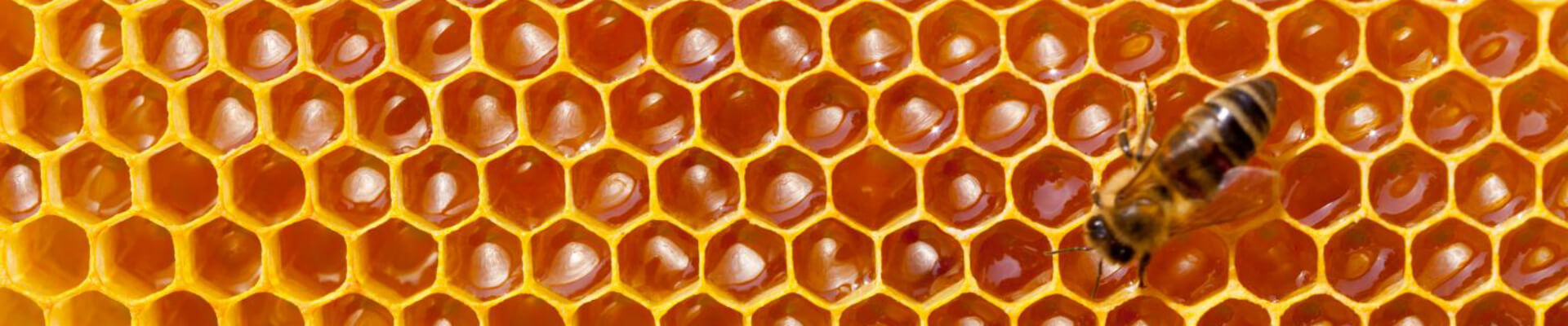 miel-magasin-bio-janze-le-carre-biologique