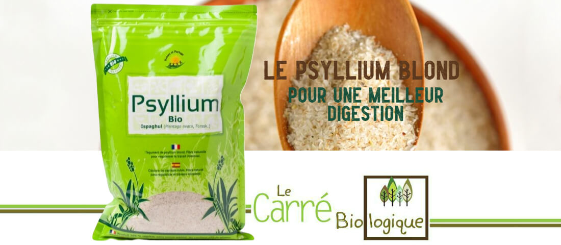 psyllium-plantain-des-indes-magasin-bio-janze-002