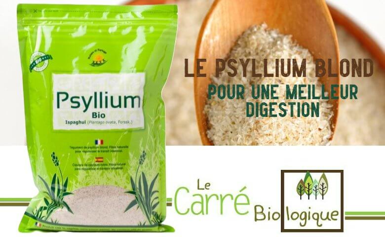 psyllium-plantain-des-indes-magasin-bio-janze-004