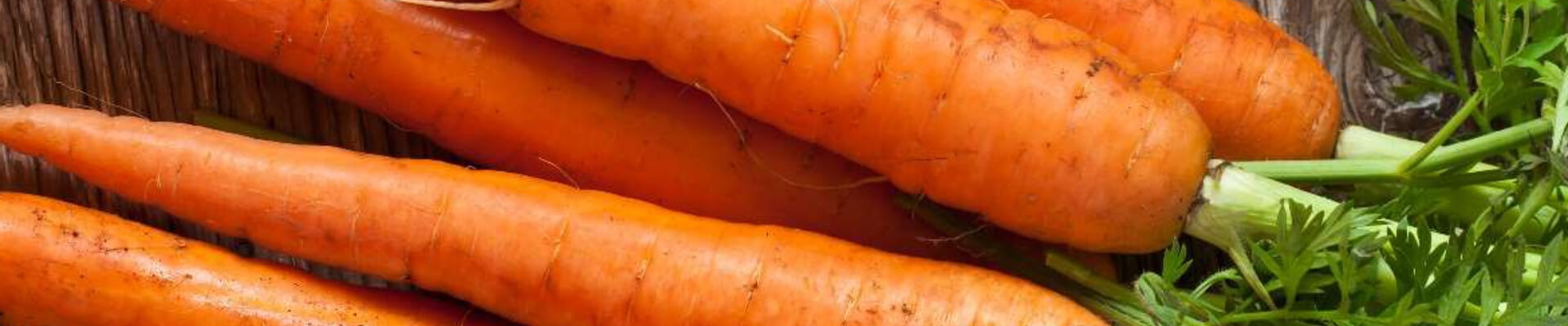 carottes-magasin-le-carre-bio-logique-janze