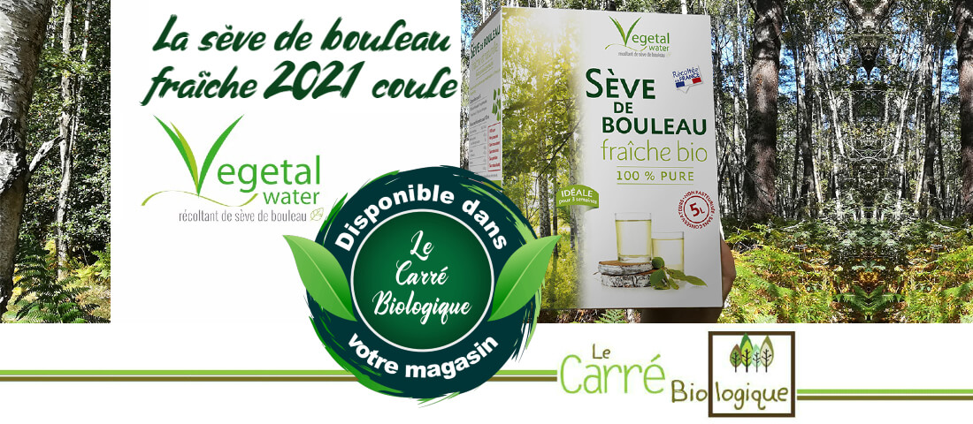 vegetal-water-seve-bouleau-magasin-bio-janze-004